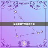 鼠年配哪个生肖最合适(十二生肖搭配指南)