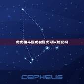 龙虎相斗属龙和属虎可以婚配吗，属龙和属虎相配吗