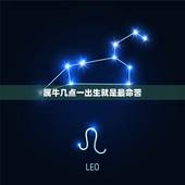 属牛几点一出生就是最命苦，属牛的命苦？