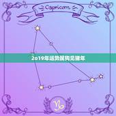 2o19年运势属狗见猪年