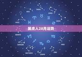 属虎人28月运势