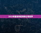 2023年最吉利旺财的公司名字(介绍未来财富)