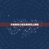 天蝎座老公提出离婚怎么挽回，十二星座婚纱戒指