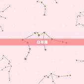 十二星座高跟鞋裙子(穿出你的星座风格)