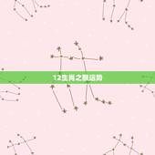 12生肖之猴运势