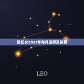 属蛇女2023年每月运势及运程，蛇女2023年运势