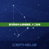 属马的和什么属相最配_十二生肖，属马的和什么属相最配 属马的最配属相