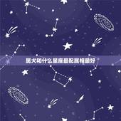 属犬和什么星座最配属相最好，属狗的射手座和什么生肖星座最配