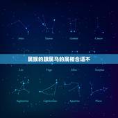 属猴的跟属马的属相合适不，属猴的和属马的属相相配合适吗