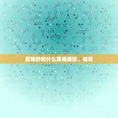 属猪的和什么属相最配、相克 1995年属猪人2023年运势