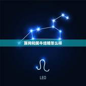 属狗和属牛结婚怎么样，属狗的和属牛的能结婚吗