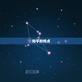 2023年紫薇星知乎(未来的智慧平台)