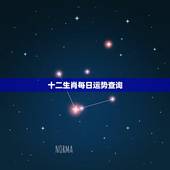 十二生肖每日运势查询，十二生肖每日运势查询非常网