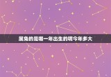 属兔的是哪一年出生的呢今年多大(解密属兔人的年龄与性格特征)