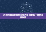 2023年最旺的微信头像大全 为什么不能用花做头像