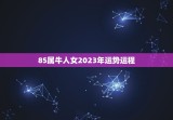 85属牛人女2023年运势运程(顺风顺水财运亨通)