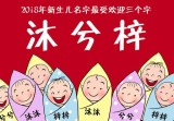 缺金的女孩起名字那个好(如何为缺金女孩取一个寓意美好的名字)
