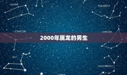 2000年属龙的男生(独具魅力展现自我风采)