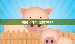 属猪下半年运势2023(财运亨通事业顺利爱情甜蜜)