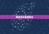 看香灰还是看香头，烧香看香头还是香灰知凶吉