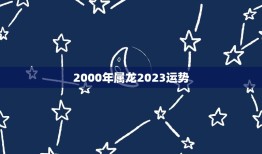 2000年属龙2023运势，2000年属龙男2023年事业运势