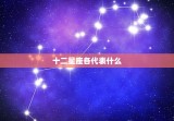 十二星座各代表什么，十二星座都代表什么