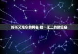 好听又难忘的网名 独一无二的微信名