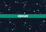 属狗处女座运势2023(幸运之年)