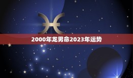 2000年龙男命2023年运势(事业财运双丰收)