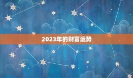2023年属牛摩羯座(未来三年的财富运势分析)