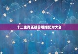十二生肖正确的婚姻配对大全，十二生肖正确的婚姻配对大全啥属相今年二十七