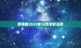 摩羯座2023年12月求职运势，2023年木星进入白羊座