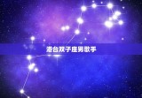 港台双子座男歌手，双子座和什么座最配