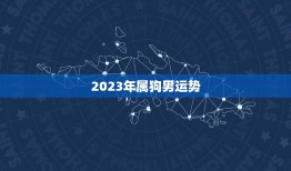 2023年属狗男运势(狗年大展宏图财运亨通)