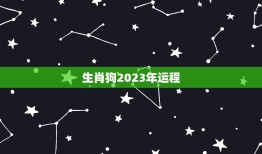 生肖狗2023年运程(狗年大展宏图财运亨通)