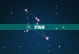 1994年属狗的(回顾那些在职场、感情和生活中脱颖而出的人们)