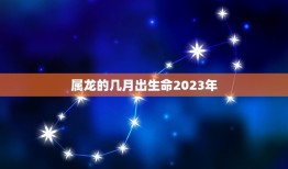 属龙的几月出生命2023年(2023年出生月份介绍)
