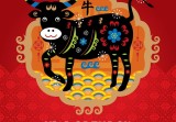 属牛的今年的运气和财气(2023年牛年运势大揭秘)
