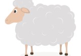 太阳白羊和上升白羊相处(如何避免火花四溅)