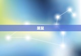 生肖每日运程水墨先生(解读十二生肖今日运势)