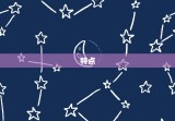 太阳摩羯上升双子性格(内敛稳重外向多变)