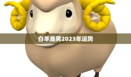 白羊座男2023年运势(事业财运双丰收)