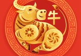 73属牛男人命运与婚姻(如何避免婚姻危机)