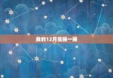 我的12月签摇一摇，抽取我的12月签摇一摇