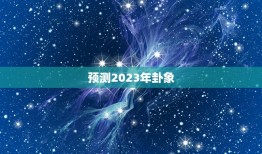 预测2023年卦象，老黄历有能计算新八十一卦每日卦象吗？