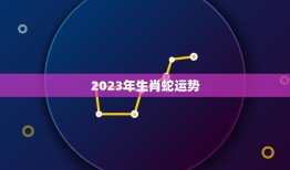 2023年生肖蛇运势(事业财运双丰收)