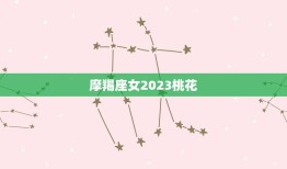 摩羯座女2023桃花(繁花似锦爱情如意)