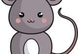 猪最配的属相是什么男孩(揭秘十二生肖中最佳配对)