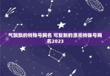 气飘飘的特殊号网名 可复制的漂亮特殊号网名2023