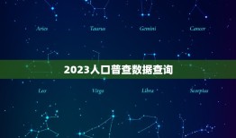 2023人口普查数据查询，中国2023年多少人口